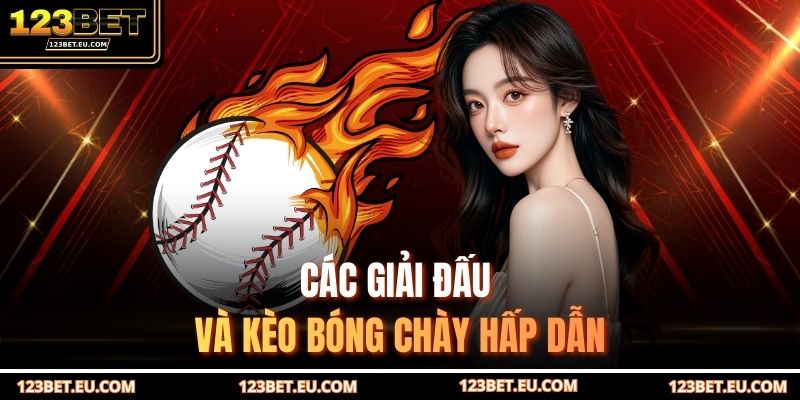 Các giải đấu và kèo bóng chày hấp dẫn