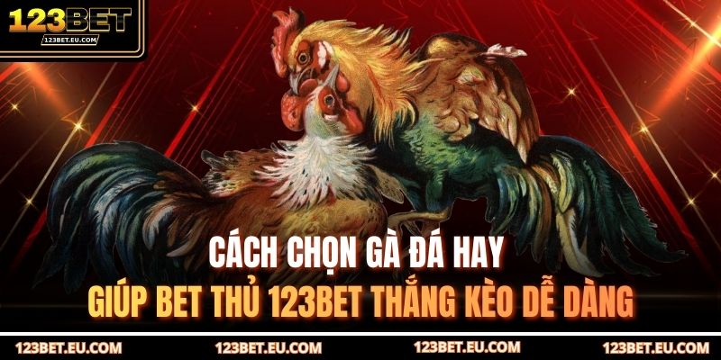 Cách chọn gà đá hay giúp bet thủ 123BET thắng kèo dễ dàng