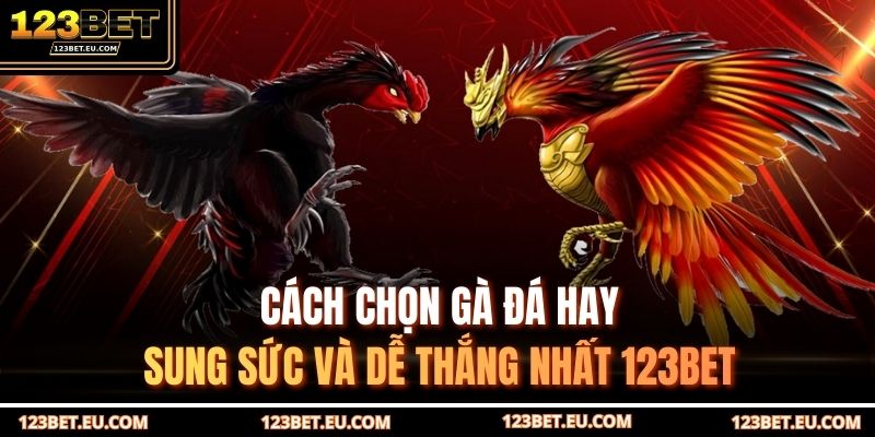 Cách chọn gà đá