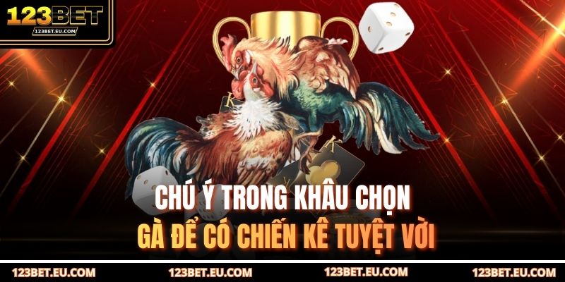 Chú ý trong khâu chọn gà để có chiến kê tuyệt vời