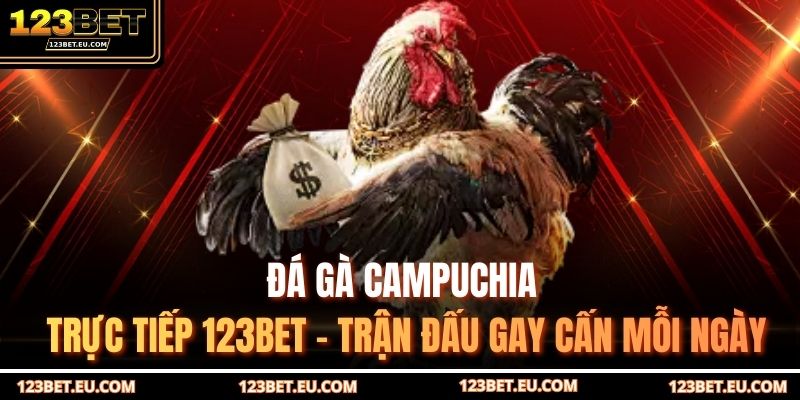 Đá gà Campuchia trực tiếp