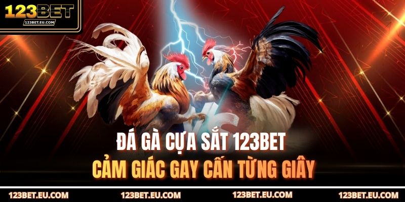 Đá gà cựa sắt 123BET