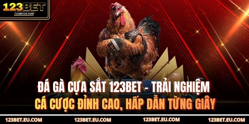 Đá gà cựa sắt 123BET – Trải nghiệm cá cược đỉnh cao, hấp dẫn từng giây