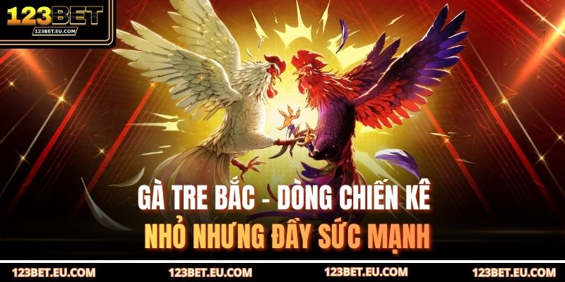 Gà tre Bắc – dòng chiến kê nhỏ nhưng đầy sức mạnh