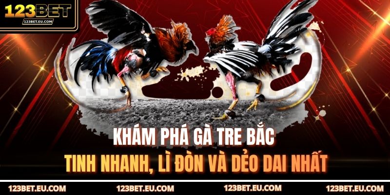 Gà tre Bắc