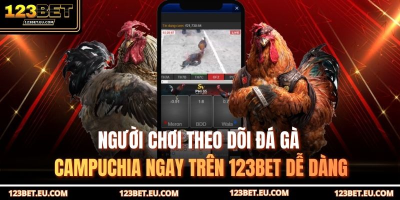 Người chơi theo dõi đá gà Campuchia ngay trên 123BET dễ dàng