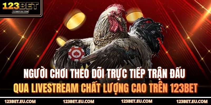 Người chơi theo dõi trực tiếp trận đấu qua livestream chất lượng cao trên 123BET