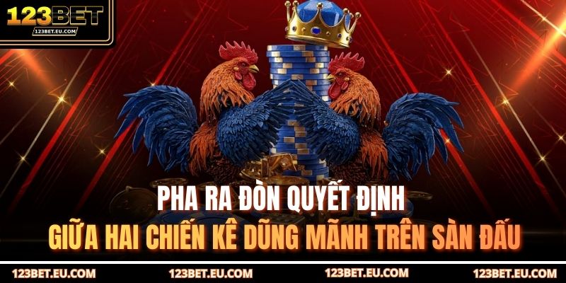 Pha ra đòn quyết định giữa hai chiến kê dũng mãnh trên sàn đấu