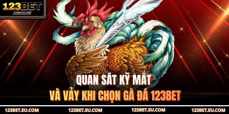 Quan sát kỹ mắt và vảy khi chọn gà đá 123BET