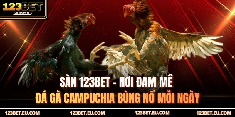 Sàn 123BET – nơi đam mê đá gà Campuchia bùng nổ mỗi ngày