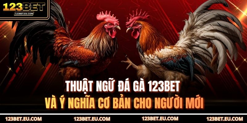 thuật ngữ đá gà 123BET