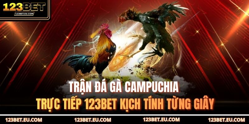 Trận đá gà Campuchia trực tiếp 123BET kịch tính từng giây